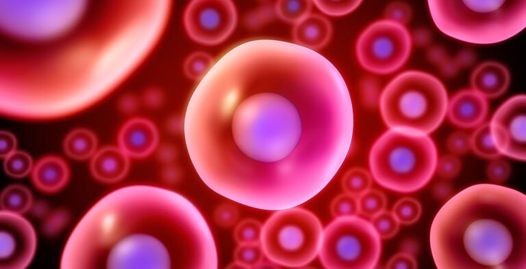 Stem cells and umbilical cord blood